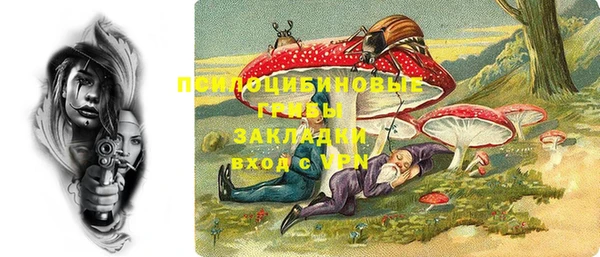 дмт Аркадак