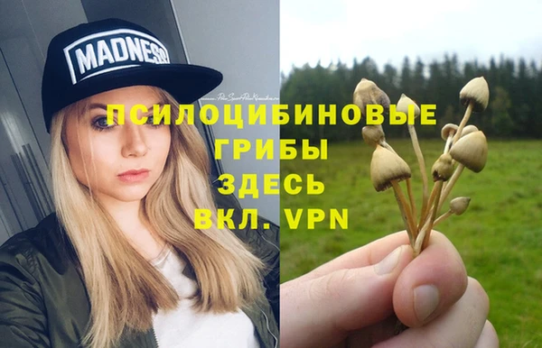 дмт Аркадак