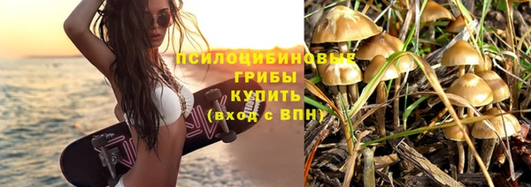 дмт Аркадак