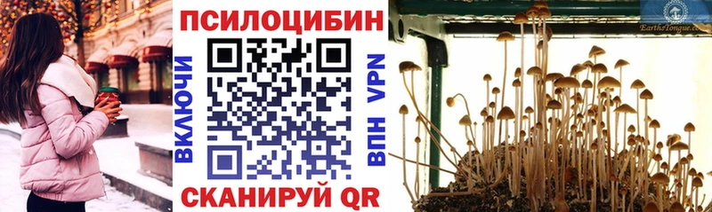 ссылка на мегу ссылка  Усинск  Галлюциногенные грибы Psilocybe 